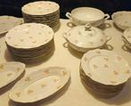 Haas & Czjzek Porselein Servies Set, Huis en Inrichting, Ophalen, Gebruikt, Overige stijlen, Porselein