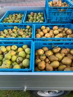 Stoofperen 5 kilo 5 euro, Diversen, Levensmiddelen, Ophalen