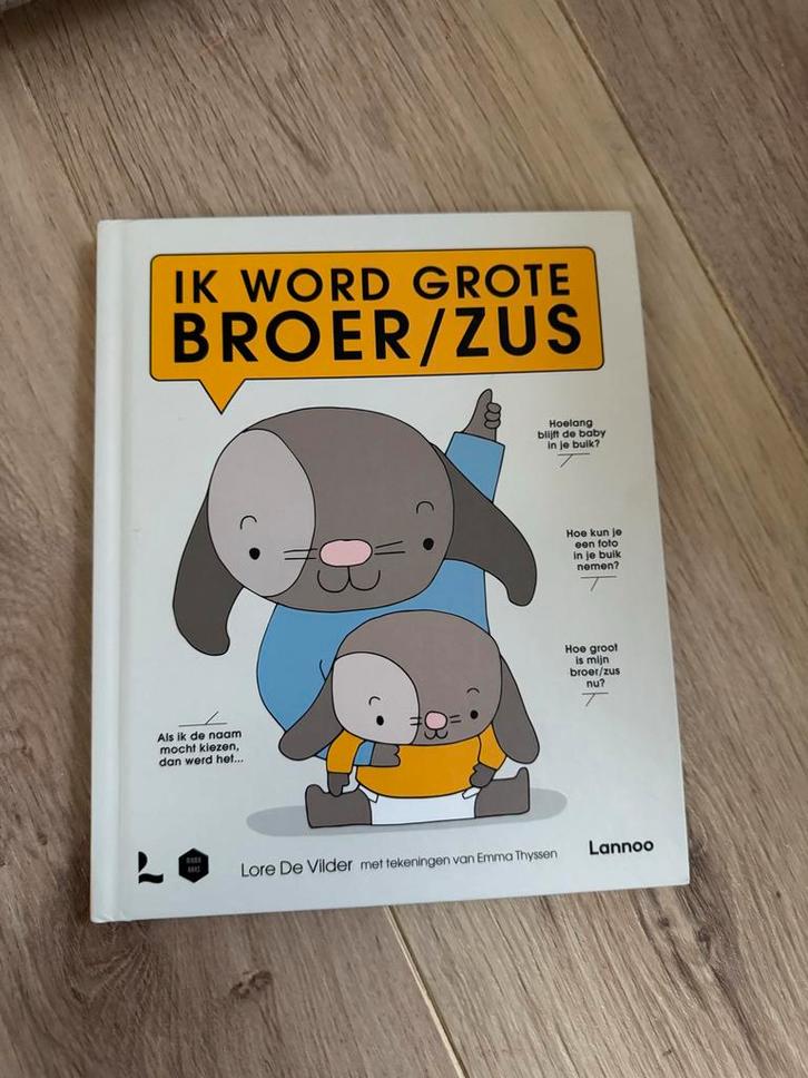 Ik word grote broer/zus - Lore De Vilder, Boeken, Zwangerschap en Opvoeding, Zo goed als nieuw, Zwangerschap en Bevalling, Ophalen of Verzenden