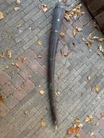 Midwinterhoorn - Traditioneel blaasinstrument, Muziek en Instrumenten, Blaasinstrumenten | Hoorns, Ophalen