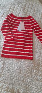 Studio Anneloes trui S, Kleding | Dames, Truien en Vesten, Ophalen of Verzenden, Nieuw, Maat 36 (S)