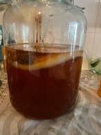 Scoby en startersvloeistof om heerlijke kombucha te maken, Ophalen of Verzenden