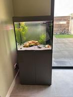 Juwel aquarium 200L, Dieren en Toebehoren, Vissen | Aquaria en Toebehoren, Ophalen, Zo goed als nieuw, Leeg aquarium