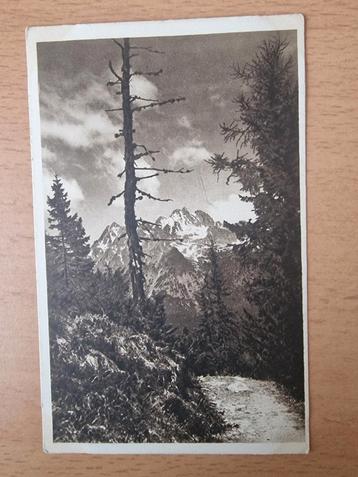 Oude ansichtkaart pad met uitzicht op Hoge Tatra gebergte beschikbaar voor biedingen