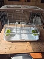 Vision vogelkooi 62,5 x 39,5 x 53 cm, Dieren en Toebehoren, Ophalen, Zo goed als nieuw, Metaal, Vogelkooi