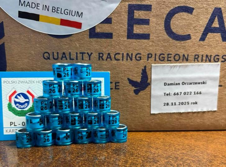 duivenringen PL FCI 2026, Dieren en Toebehoren, Vogels | Duiven, Postduif, Meerdere dieren