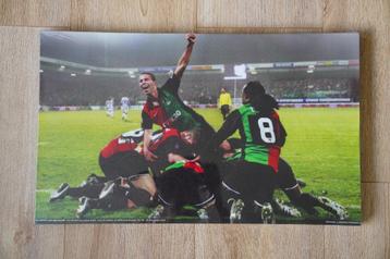 Nec Nijmegen Canvas Uefa Cup 2008-2009 (2) beschikbaar voor biedingen