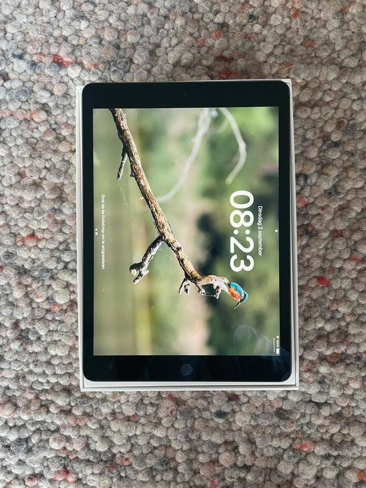 Apple iPad 9th generation, Computers en Software, Apple iPads, Nieuw, Overige modellen, 10 inch, 256 GB, Grijs, Ophalen of Verzenden