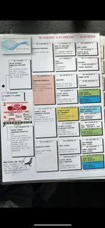Koppel postduiven wit/schimmel, Dieren en Toebehoren, Meerdere dieren, Postduif