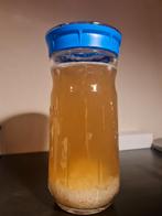 GRATIS  ophalen  Water Kefir Korrels - 50 gram - Biologisch, Ophalen