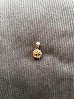 Pandora, Ophalen of Verzenden, Nieuw, Zilver, Pandora