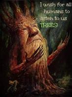 Oproep: Plant een boom!, Contacten en Berichten, Advies en Oproepen