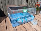 Ferplast Hamsterkooi Duna Fun Large
Ferplast groot 71,5 x 46, Dieren en Toebehoren, Knaagdieren en Konijnen | Hokken en Kooien