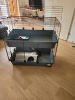 Caviakooi,  caviahok, caviaflat, Ophalen, Kooi, Cavia, Zo goed als nieuw