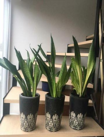 Grote zware terracotta bloempotten 31cm met ornamenten beschikbaar voor biedingen