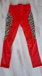 Paardrij legging maat L, Dieren en Toebehoren, Paardrijkleding, Ophalen of Verzenden, Zo goed als nieuw, Dressuur, Onderkleding