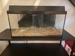 Juwel 60 liter aquarium, Ophalen, Zo goed als nieuw, Verlichting of Verwarming