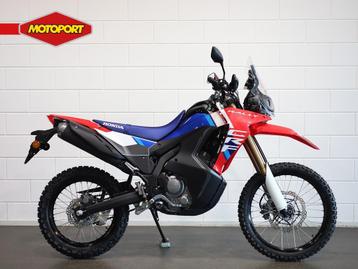 Honda CRF 300 RALLY (bj 2025) beschikbaar voor biedingen