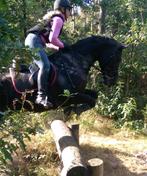 GEZOCHT Spring/veelzijdigheidszadel - 18” - MW boom - zwart, Dieren en Toebehoren, Paarden en Pony's | Zadels, Ophalen, Gebruikt
