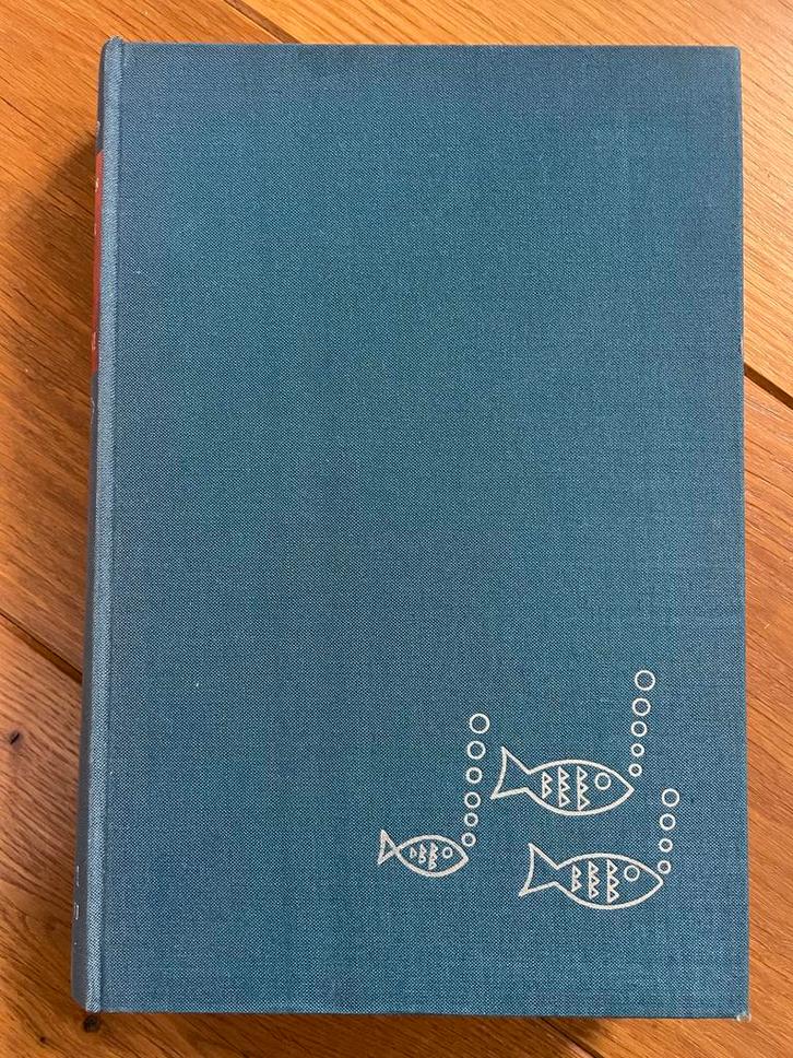 Vissen en ... vangen!, Watersport en Boten, Hengelsport | Algemeen, Ophalen of Verzenden