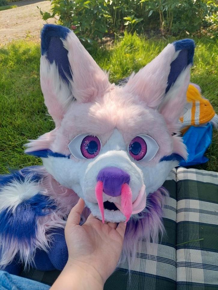 Fursuit canine pink partial lined, Hobby en Vrije tijd, Kostuums, Theaterbenodigdheden en LARP, Zo goed als nieuw, Ophalen of Verzenden