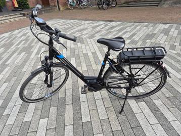 Pegasus Ravenna 8f Belt 55cm 2018 Zwart Mat beschikbaar voor biedingen