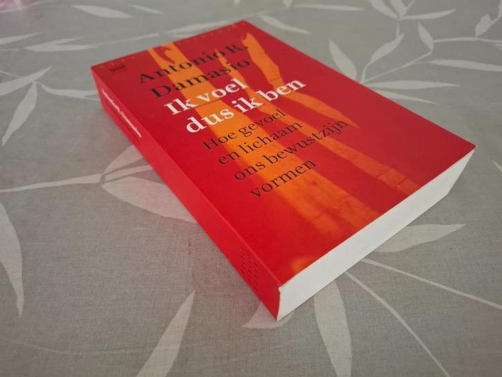 IK VOEL DUS IK BEN  - Antonio R. Damasio, Boeken, Psychologie, Zo goed als nieuw, Ophalen of Verzenden
