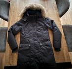 Airforce Winterjas Dames Maat L Zo Goed Als Nieuw, Ophalen of Verzenden, Zo goed als nieuw, Maat 42/44 (L), Grijs