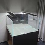 Aquarium, terrarium, paludarium, vissen, Ophalen, Zo goed als nieuw, Gevuld zoetwateraquarium