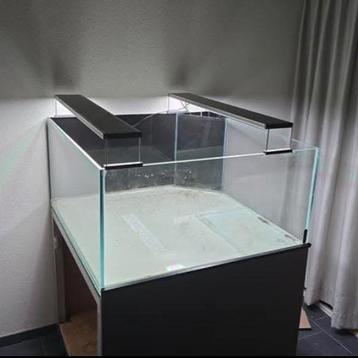 Aquarium, terrarium, paludarium, vissen beschikbaar voor biedingen