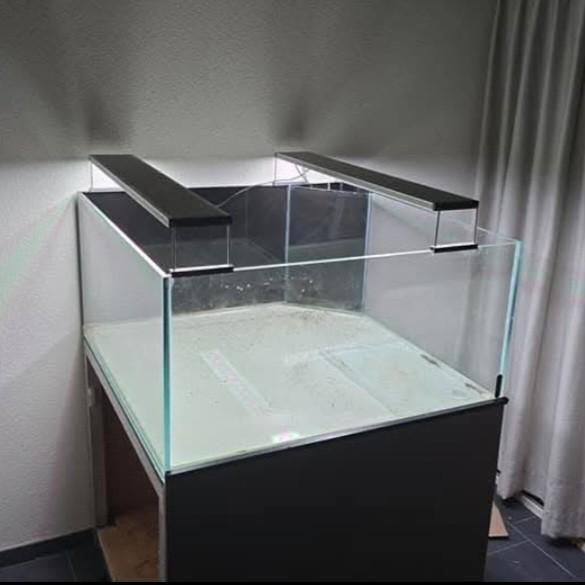 Aquarium, terrarium, paludarium, vissen, Dieren en Toebehoren, Vissen | Aquaria en Toebehoren, Zo goed als nieuw, Gevuld zoetwateraquarium