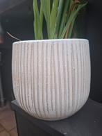 Ecru stenen bloempot met verticale strepen, Gebruikt, Rond, Binnen, Ophalen of Verzenden