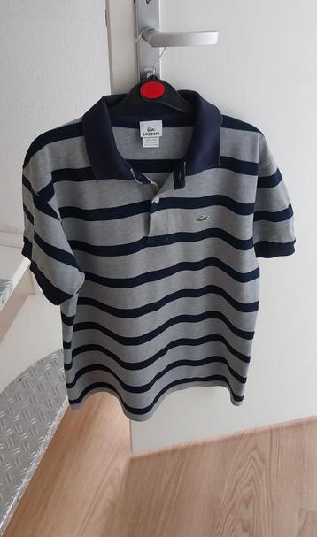 Heren Polo Lacoste & Polo  beschikbaar voor biedingen