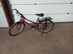 Raleigh max atb, Fietsen en Brommers, Fietsen | Mountainbikes en ATB, Hardtail, Zo goed als nieuw, Dames, Ophalen