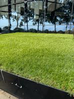 40 en 50 mm kunstgras voor bodemprijzen. op voorraad, Tuin en Terras, Gras en Kunstgras, Ophalen, Nieuw, 20 m² of meer, Kunstgras