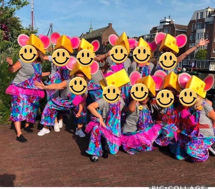 Loopgroep Muizen Kostuums (20 stuks), Kleding | Heren, Carnavalskleding en Feestkleding, Gedragen, Kleding, Carnaval, Ophalen