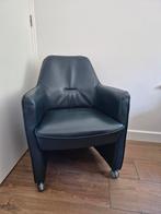 leren blauwe stoelen, Ophalen, Gebruikt, 50 tot 75 cm, Leer