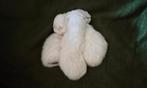 Lieve Kittens te Koop