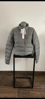 uniqlo ultra light down jacket, Kleding | Dames, Jassen | Winter, Nieuw, Grijs, Uniqlo, Maat 38/40 (M)
