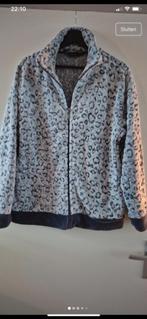 Pastunette huispak, Kleding | Dames, Huispakken, Blauw, Maat 42/44 (L), Ophalen of Verzenden, Zo goed als nieuw