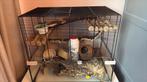 Tof hamsterhok met alle accessoires voor hamsterscaping, Dieren en Toebehoren, Gebruikt, Minder dan 75 cm, Ophalen, Minder dan 60 cm