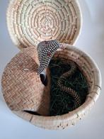 Zeer mooie vintage handgemaakte mand met slang, Antiek en Kunst, Ophalen of Verzenden