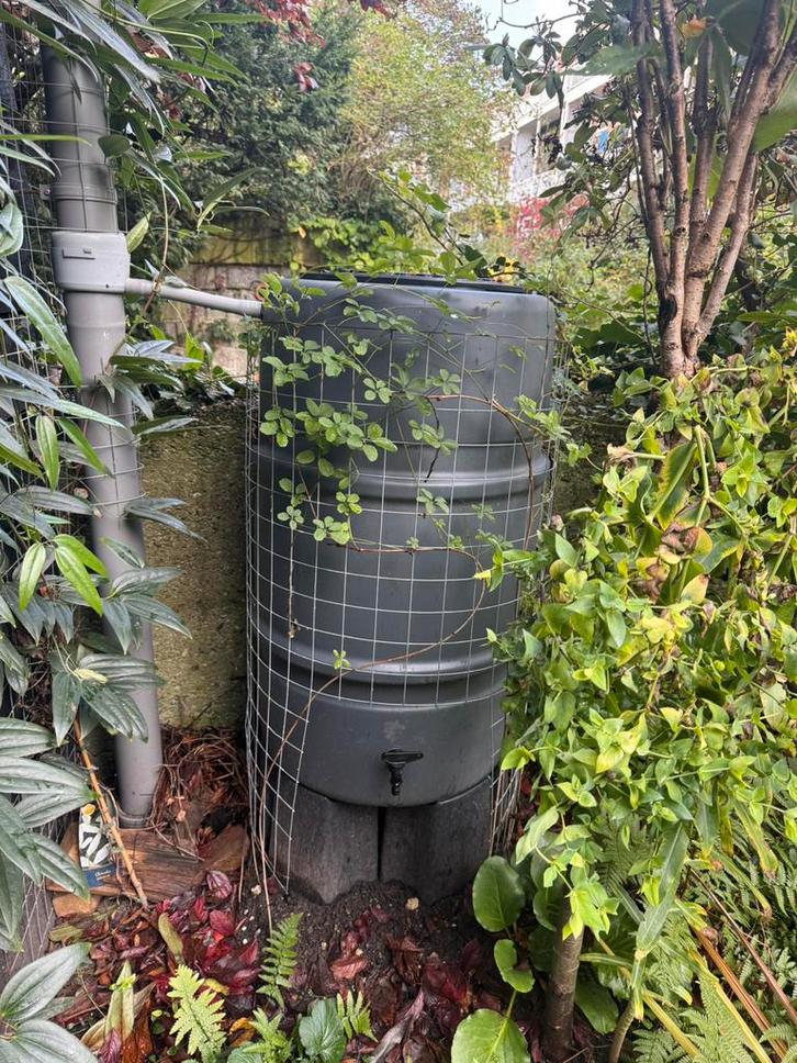 Regenton compleet, Tuin en Terras, Regentonnen, Gebruikt, Kunststof, 75 tot 150 liter, Met kraantje, Ophalen