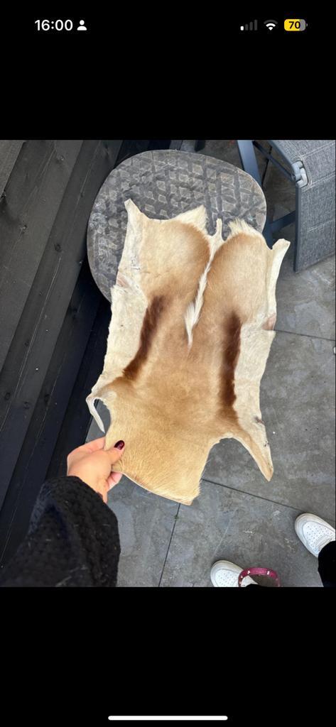 Springbokvel - Decoratief en Uniek!, Huis en Inrichting, Stoffering | Tapijten en Kleden, Gebruikt, 50 tot 100 cm, 100 tot 150 cm