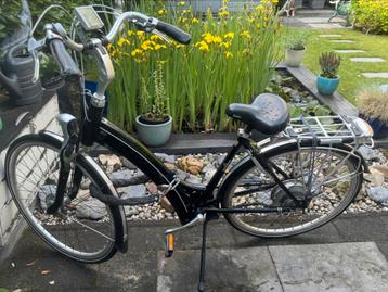 Padova Easy ebike Damesfiets (accu defect) beschikbaar voor biedingen
