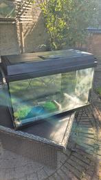 Aquarium 60x30x40, Ophalen, Gebruikt, Leeg aquarium