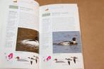 Vogels — Nederland en omringende Landen — Veldgids, Boeken, Ophalen of Verzenden, Gelezen, Vogels