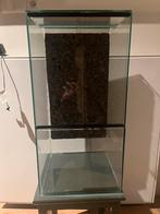 Terrariums op maat voor beurs houten 7 december, Dieren en Toebehoren, Reptielen en Amfibieën | Toebehoren, Ophalen, Nieuw, Terrarium of Paludarium