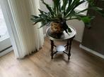 Antieke Rooktafel, Huis en Inrichting, Minder dan 55 cm, Gebruikt, Rond, Hout