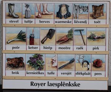 Leesplank  Leesplankje Dialect leesplankjes Aap Noot Mies    beschikbaar voor biedingen
